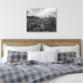 Where the Meadow Breathes Canvas Print