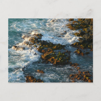 Where the Ocean Meets the Rocks Postcard