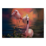 Where The Wild Flamingo Grow ArtCard