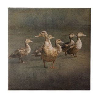 Where To Now? Ceramic Tile