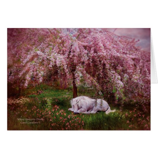 Where Unicorn's Dream ArtCard Cards (Front Horizontal)