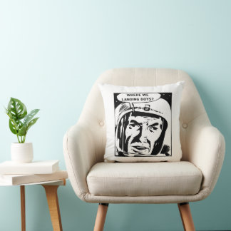 Where we landing boys? Pillow