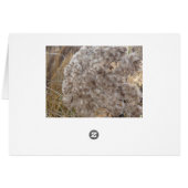 Where words are missing (autumn grass) - side (Back Horizontal)