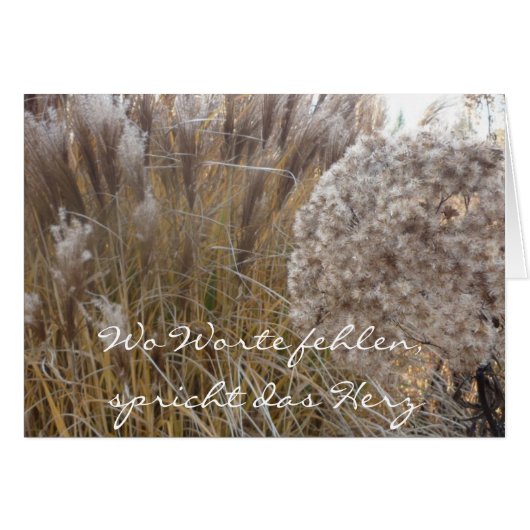 Where words are missing (autumn grass) - side (Front Horizontal)