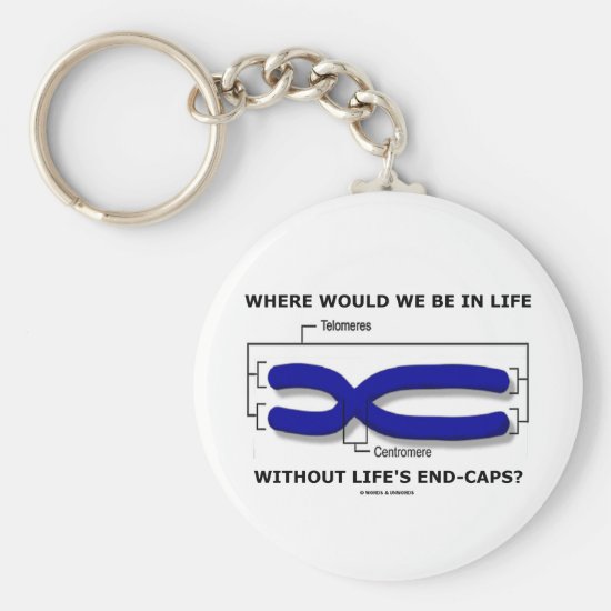 Where Would We Be In Life Without Life's End Caps? Keychain