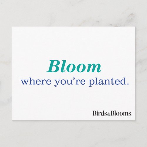 Where Youre Planted Postcard