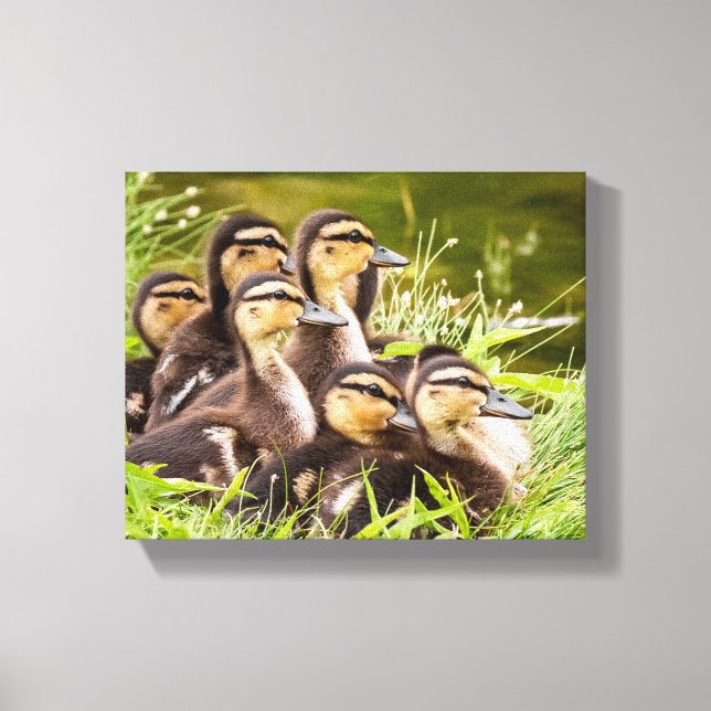 Where's Mom? Canvas Print (Front)