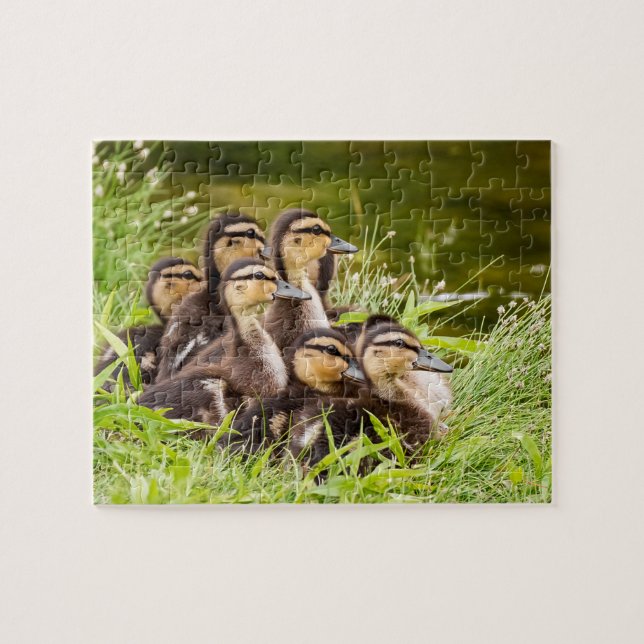 Where's Mom? Jigsaw Puzzle (Horizontal)