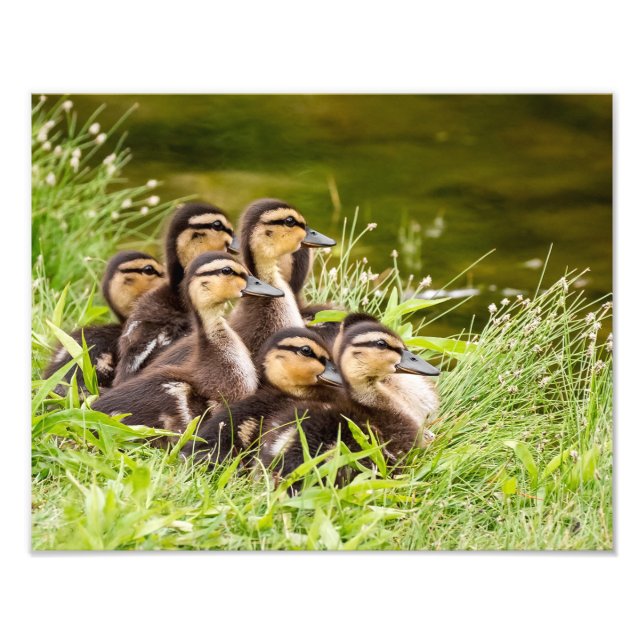 Where's Mom? Photo Print (Front)