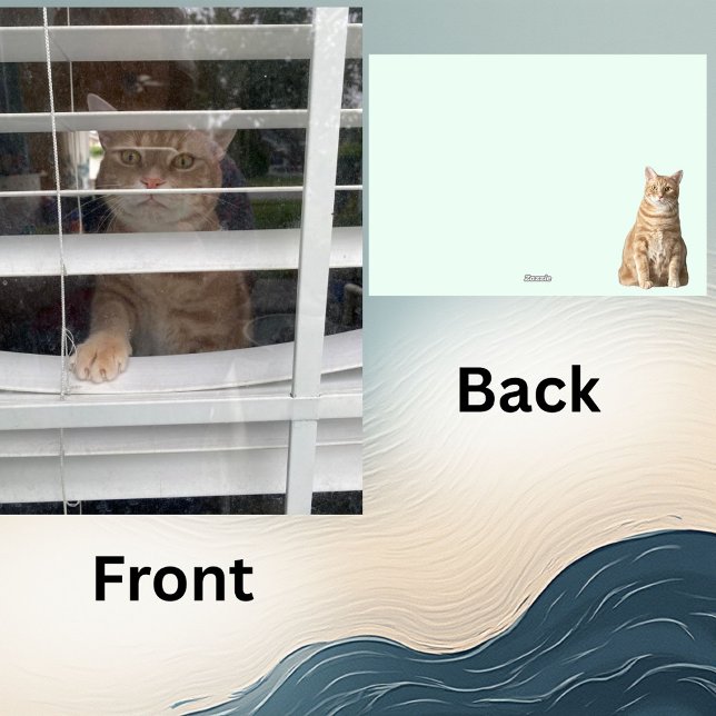 Where's Mom, Starring Taz the Cat- 5 x 7 Flat Card (Creator Uploaded)