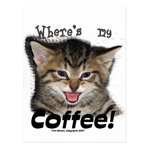 Where's my Coffee Cat Postcard | Zazzle