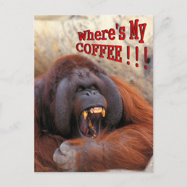 Where's My Coffee!!! Postcard (Front)