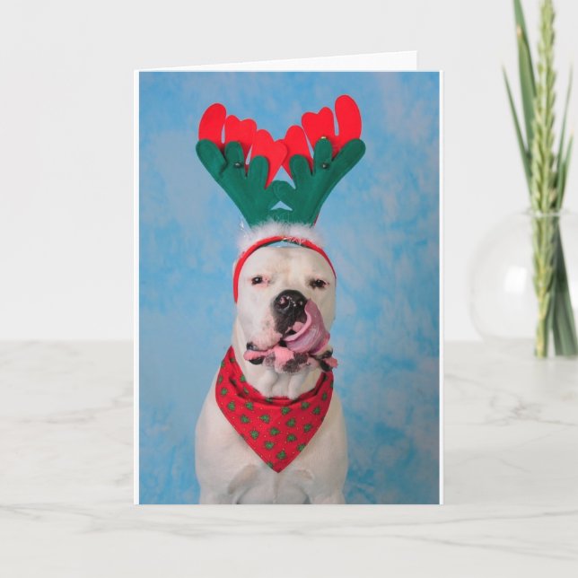 Where's my egg nog? holiday card (Front)