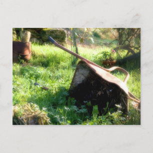 Where's Peter Rabbit? Postcard