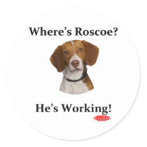 Where's Roscoe? Classic Round Sticker