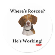 Where's Roscoe? Classic Round Sticker