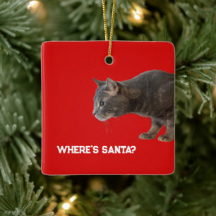 Where's Santa Cat Ornament 