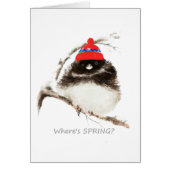 Where's Spring Funny Sarcastic Watercolor Junco cu (Front)