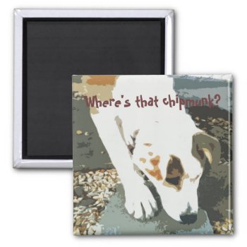 Where's That Chipmunk? Magnet by patcallum at Zazzle
