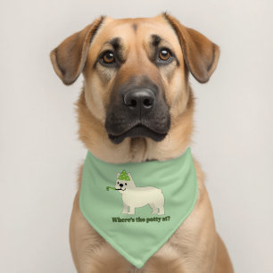 Where's the party at? pet bandana collar