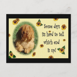 Which end is up! postcard