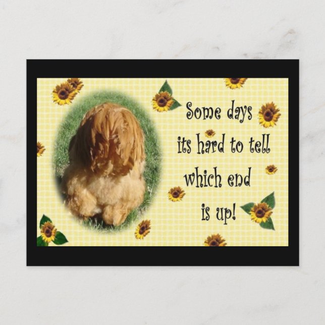 Which end is up! postcard (Front)