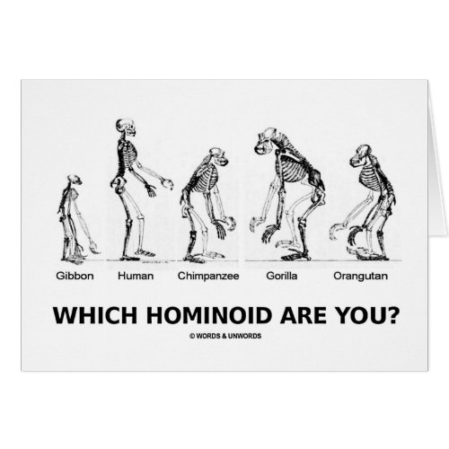 Which Hominoid Are You Hominid Skeletons