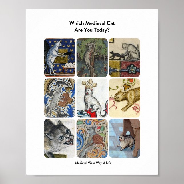 Which Medieval Cat Are You Today? - Hilariously Au Poster (Front)