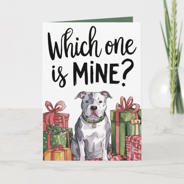 Which One Is Mine | Christmas Holiday Card (5x7) (Front)