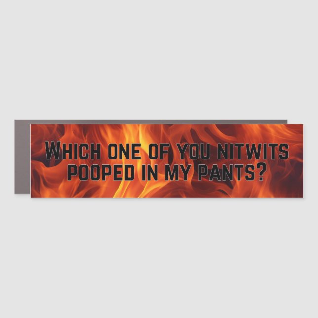 which one of you nitiwts pooped my pants car magnet (Front)