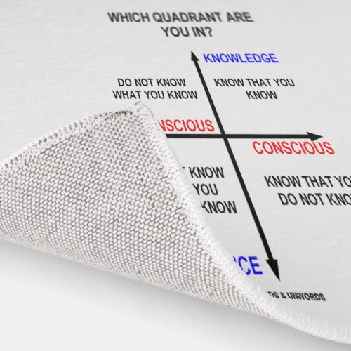 Which Quadrant Are You In Knowledge Conscious Rug