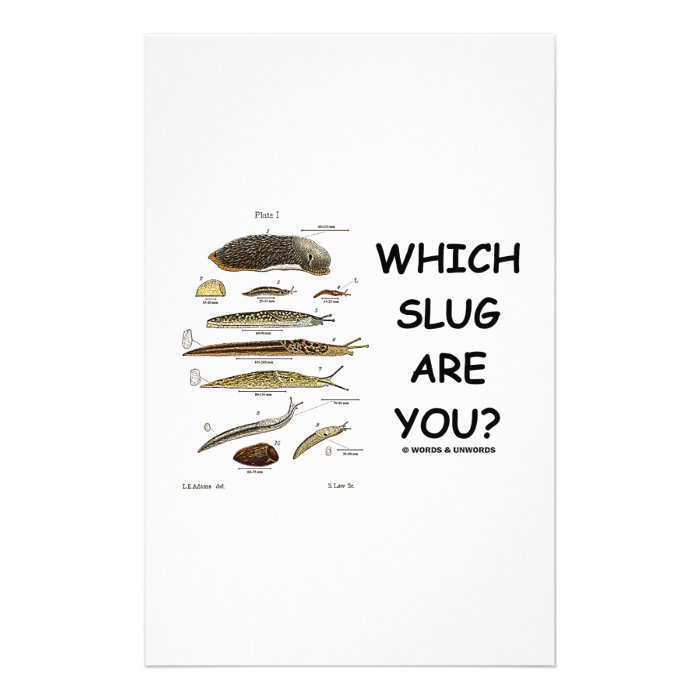 Which Slug Are You? (Different Types Of Slugs) Stationery Paper