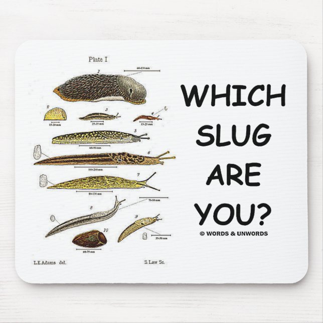 Which Slug Are You? Mouse Pad (Front)