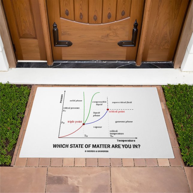 Which State Of Matter Are You In? Chemistry Doormat (Outdoor)