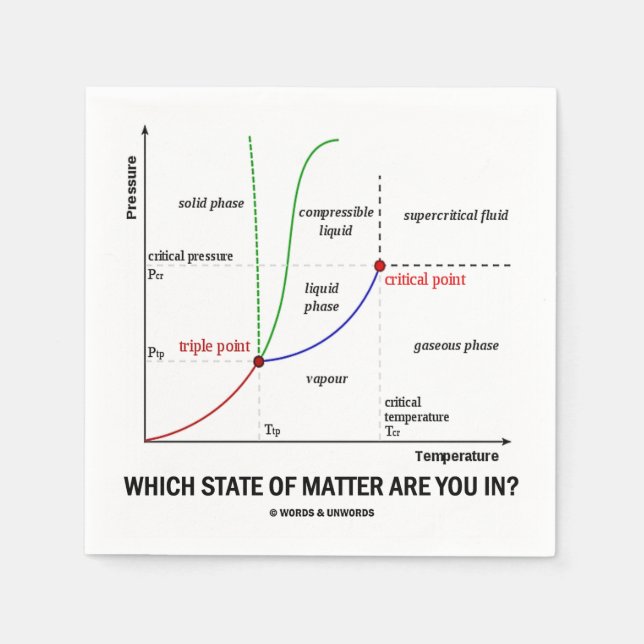 Which State Of Matter Are You In? (Chemistry) Napkins (Front)