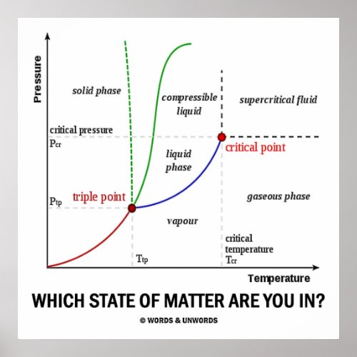 Which State Of Matter Are You In Chemistry Poster