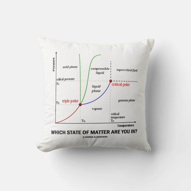 Which State Of Matter Are You In? (Chemistry) Throw Pillow (Front)