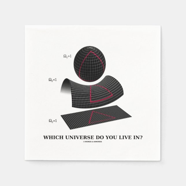 Which Universe Do You Live In? Astrophysics Napkins (Front)