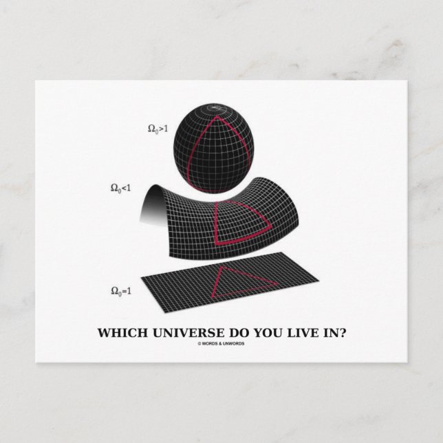 Which Universe Do You Live In? (Physics Humor) Postcard (Front)