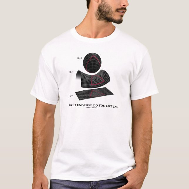 Which Universe Do You Live In? (Physics Humor) T-Shirt (Front)