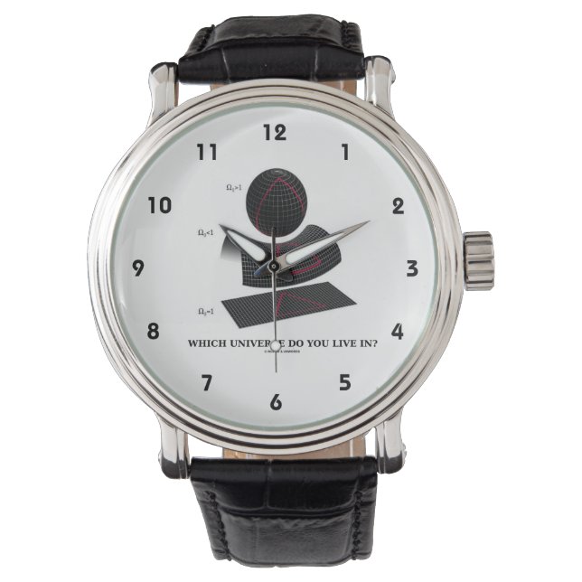 Which Universe Do You Live In? Physics Humor Watch (Front)