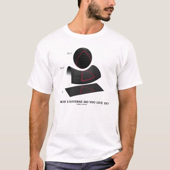 Which Universe Do You Live In? T-Shirt