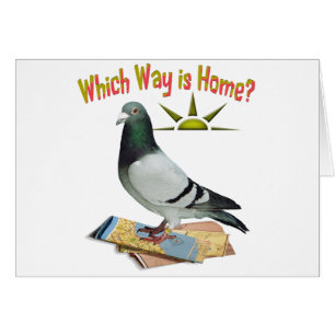Which Way is Home? Pigeon Art