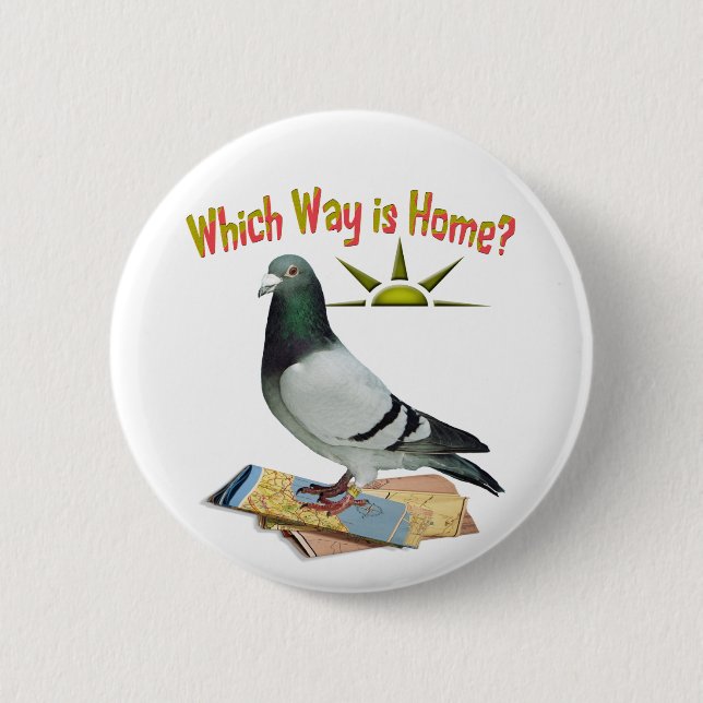 Which Way is Home? Pigeon Art Button (Front)