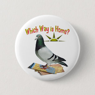 Which Way is Home? Pigeon Art Button