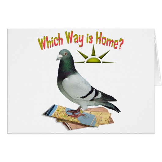 Which Way is Home? Pigeon Art Cards (Front Horizontal)
