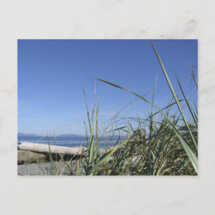 Whidbey Island 5 Postcard