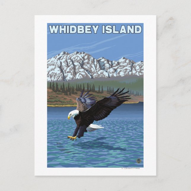 Whidbey Island, WashingtonEagle Fishing Postcard (Front)