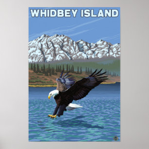 Whidbey Island, WashingtonEagle Fishing Poster