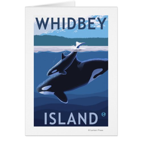 Whidbey Island WashingtonOrca and Calf